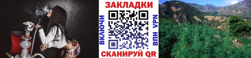 Купить наркотики цена Черноголовка Cocaine  Псилоцибиновые грибы  МАРИХУАНА 