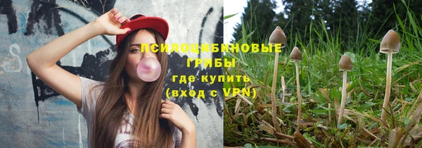 дживик Михайлов