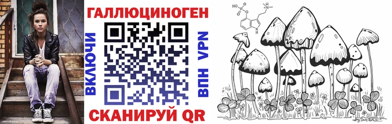 Псилоцибиновые грибы Cubensis  Черноголовка 